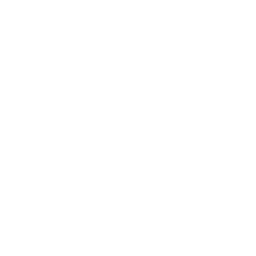 Bitumen
