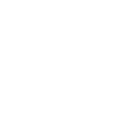 Inspectie